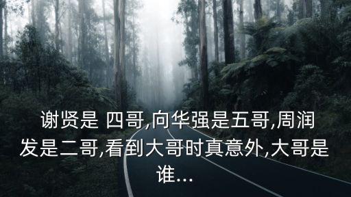  謝賢是 四哥,向華強是五哥,周潤發是二哥,看到大哥時真意外,大哥是誰...