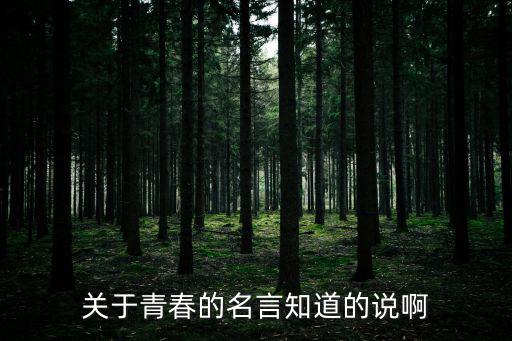 關于青春的名言知道的說啊