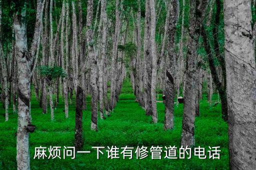 西安修水管師傅電話，麻煩問一下誰有修管道的電話