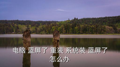 電腦 藍(lán)屏了 重裝 系統(tǒng)裝 藍(lán)屏了怎么辦