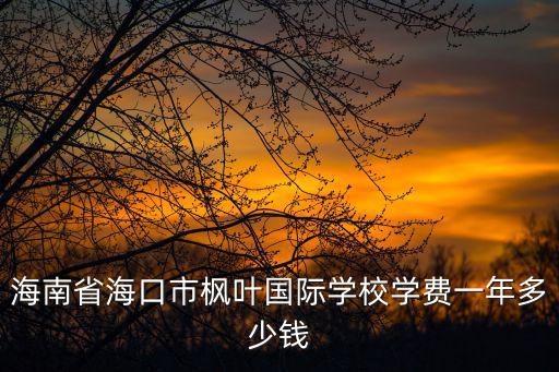 海南省海口市楓葉國際學校學費一年多少錢