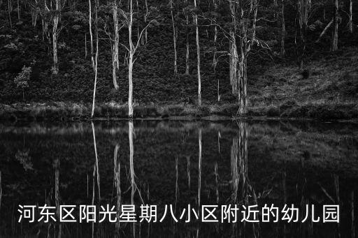 河東區陽光星期八小區附近的幼兒園