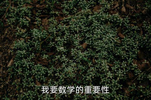 我要數學的重要性