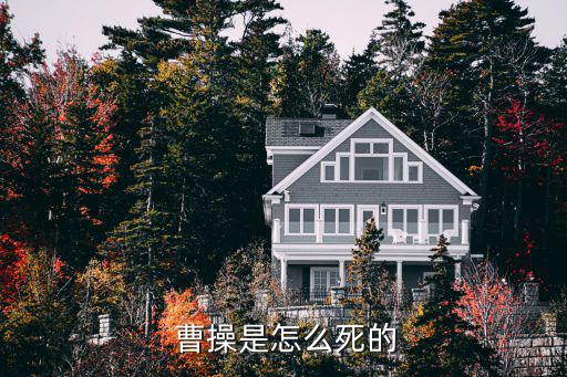 曹操怎么死,第一集:曹操因病去世