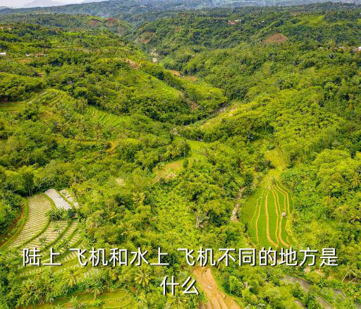 陸上 飛機(jī)和水上 飛機(jī)不同的地方是什么