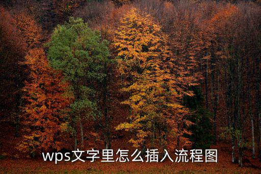 wps流程圖怎么制作，wps文字里怎么插入流程圖