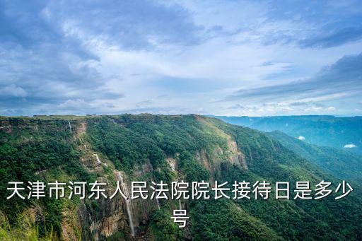 天津市河?xùn)|人民法院院長接待日是多少號(hào)