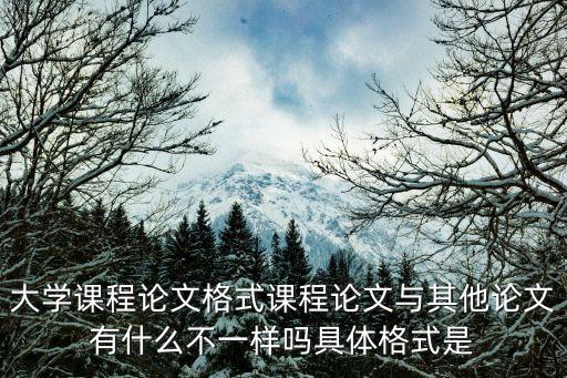 大學(xué)課程論文格式課程論文與其他論文有什么不一樣嗎具體格式是