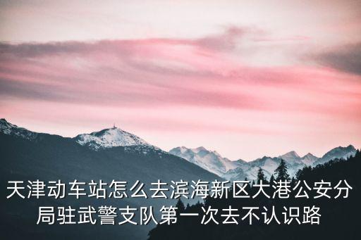 天津市濱海區部隊，天津濱海新區得開發區第二大街和第三大街很亂嗎怎么執勤都是武警