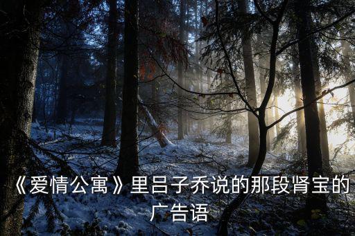 腎寶片廣告,匯仁集團出品男人要想腎好必須喝腎寶