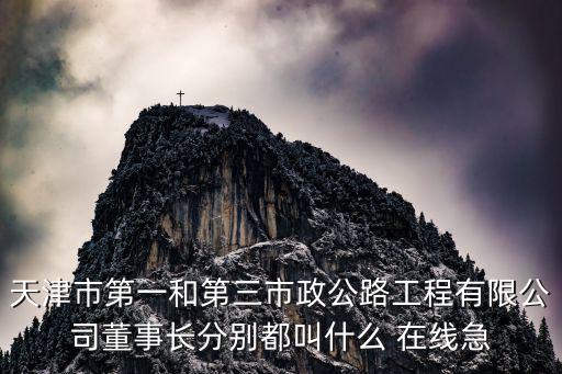 天津市天廈門窗有限責任公司，天津市第一和第三市政公路工程有限公司董事長分別都叫什么 在線急