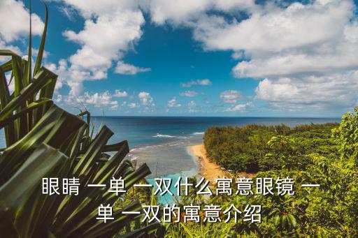  眼睛 一單 一雙什么寓意眼鏡 一單 一雙的寓意介紹