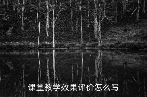 課堂教學效果評價怎么寫