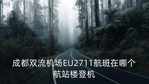 成都雙流機場EU2711航班在哪個航站樓登機