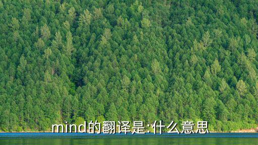  mind的翻譯是:什么意思