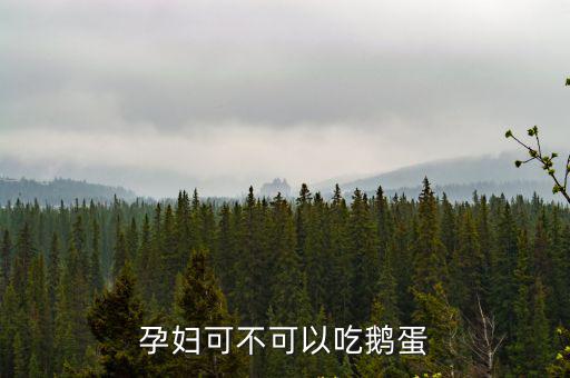 孕婦可不可以吃鵝蛋