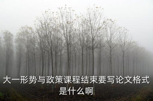 大一形勢(shì)與政策課程結(jié)束要寫論文格式是什么啊