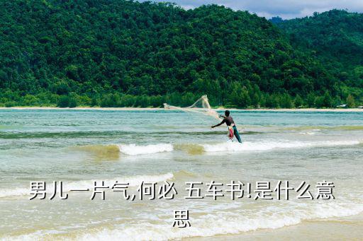 五車書,學富五車五車竹簡出爐了!