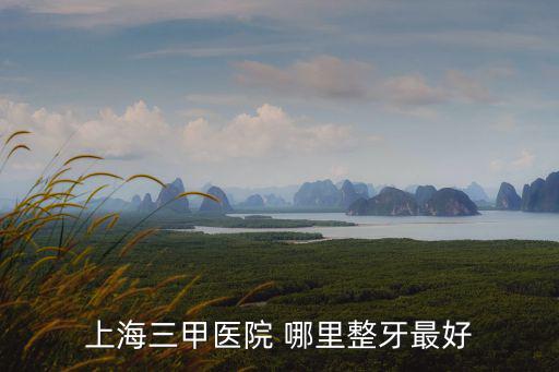 上海三甲醫(yī)院 哪里整牙最好