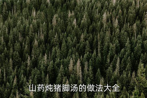  山藥燉豬腳湯的做法大全