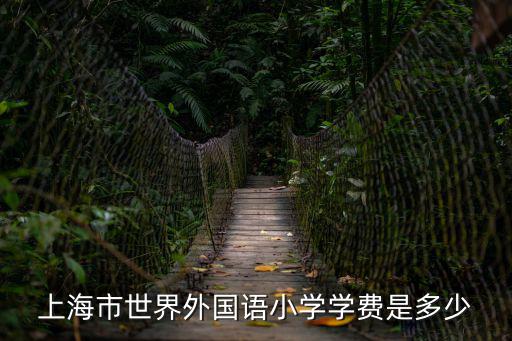 上海市世界外國語小學(xué)學(xué)費是多少