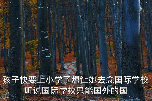 孩子快要上小學(xué)了想讓她去念國際學(xué)校聽說國際學(xué)校只能國外的國