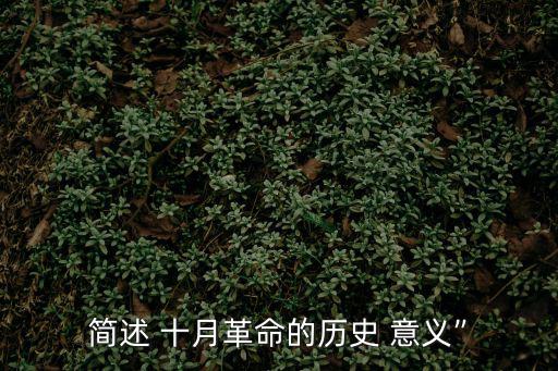 簡述 十月革命的歷史 意義”
