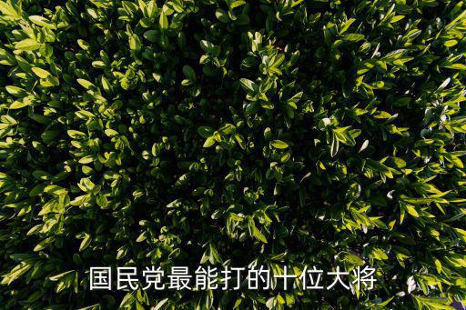 國軍將領,李益民:國民黨山東保安團少將東海岸殲滅戰
