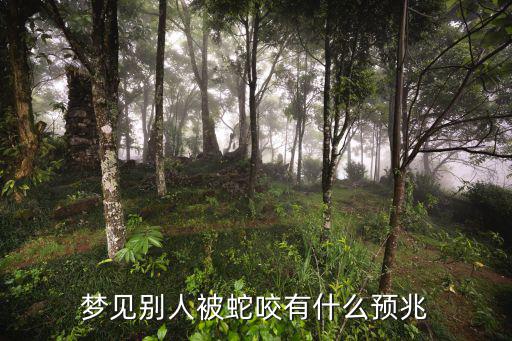 夢(mèng)見(jiàn)別人被蛇咬有什么預(yù)兆