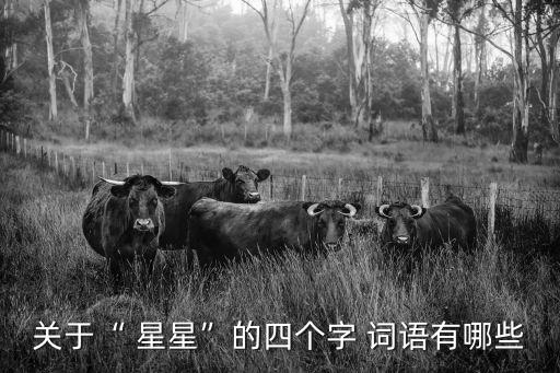 形容星星的詞語(yǔ),星期三的星期四