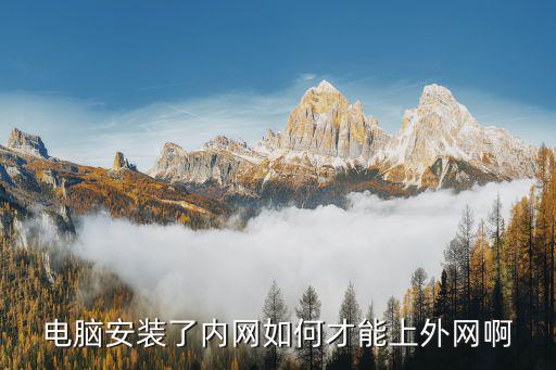 電腦安裝了內網如何才能上外網啊