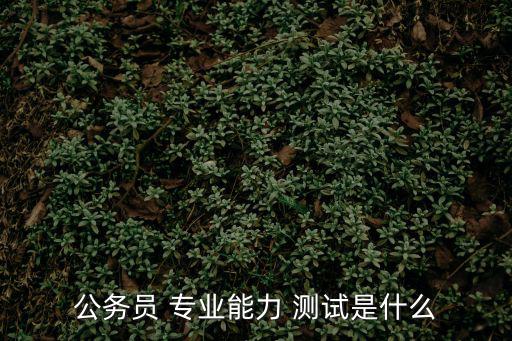 公務(wù)員 專業(yè)能力 測(cè)試是什么