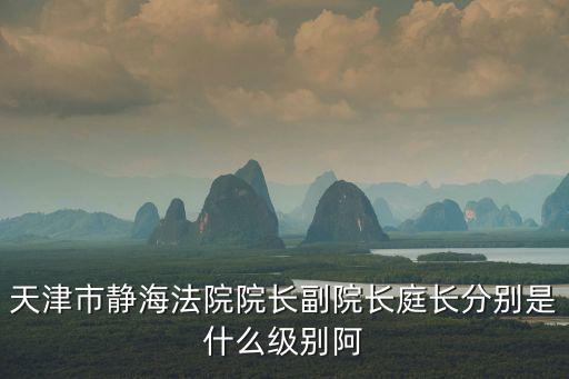 天津市g(shù)ao級(jí)人民法院院長，天津市河?xùn)|人民法院院長接待日是多少號(hào)