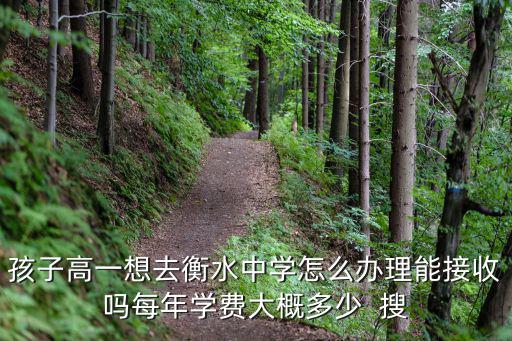 叛逆學校多少錢一年衡水，叛逆少年管教學校怎么收費的