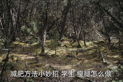 減肥方法小妙招 學生 瘦腿怎么做