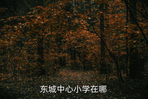 東城中心小學在哪