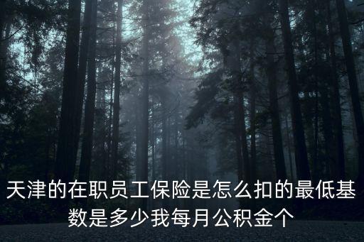 天津的在職員工保險是怎么扣的最低基數是多少我每月公積金個