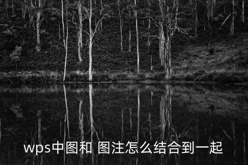 wps中圖和 圖注怎么結合到一起