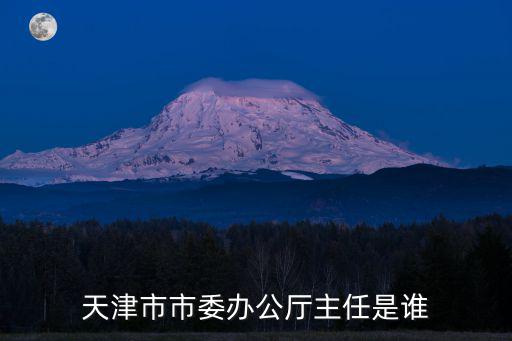 天津市 政府 作風，天津市市委辦公廳主任是誰