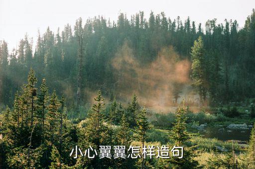 小心翼翼造句，小心翼翼怎樣造句