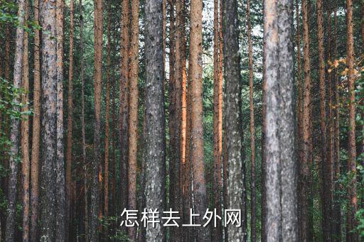 怎樣去上外網