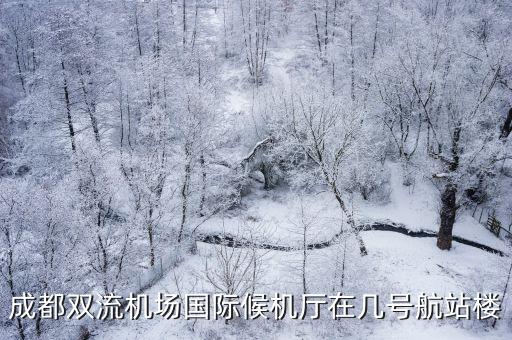 成都市雙流機(jī)場(chǎng)11號(hào)入口，成都雙流機(jī)場(chǎng)EU2711航班在哪個(gè)航站樓登機(jī)