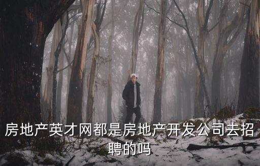 房地產(chǎn)英才網(wǎng)都是房地產(chǎn)開發(fā)公司去招聘的嗎