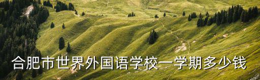 合肥市世界外國語學校一學期多少錢