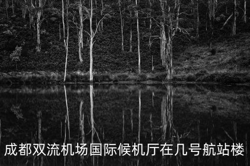 成都雙流機場國際候機廳在幾號航站樓