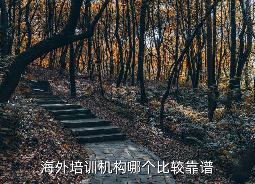 海外培訓(xùn)機(jī)構(gòu)哪個比較靠譜