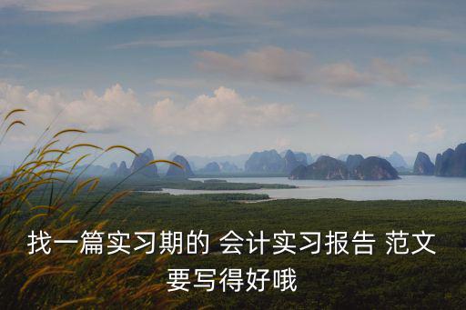 找一篇實(shí)習(xí)期的 會(huì)計(jì)實(shí)習(xí)報(bào)告 范文要寫(xiě)得好哦