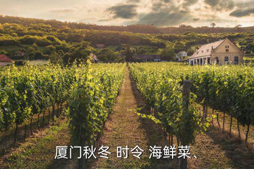 廈門秋冬 時令 海鮮菜、
