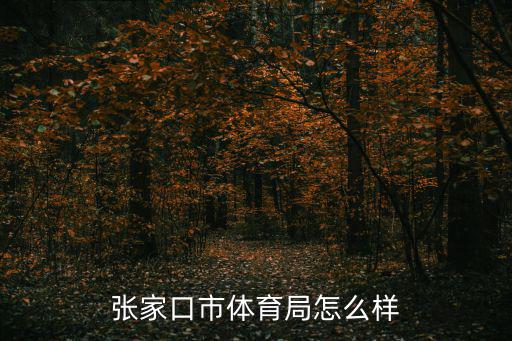 張家口市體育局怎么樣