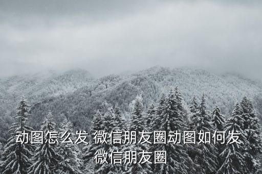 動圖怎么發 微信朋友圈動圖如何發 微信朋友圈